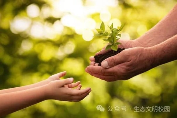 Chen Yan01 1 Chen Yan01 1