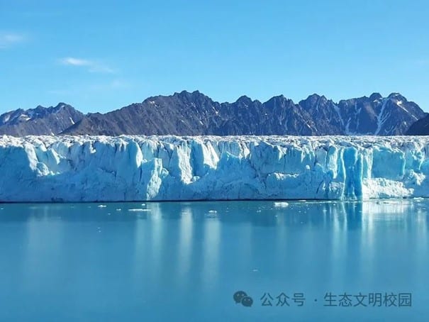 Chen Yan01 4 Chen Yan01 4