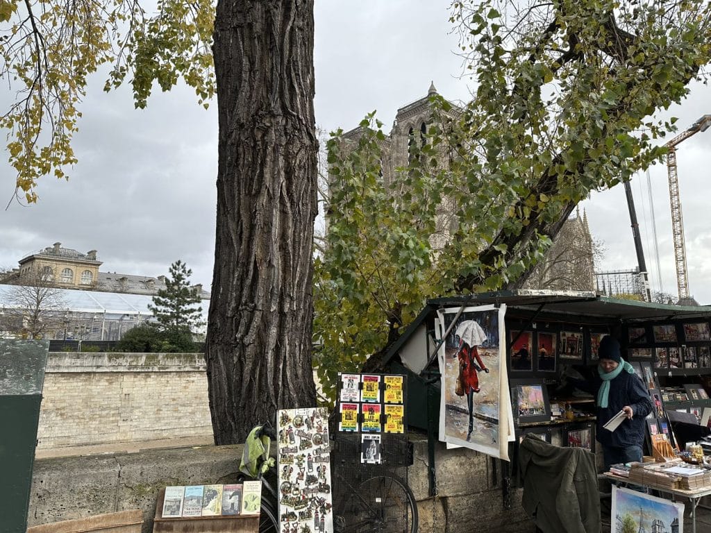 Notre Dame 5