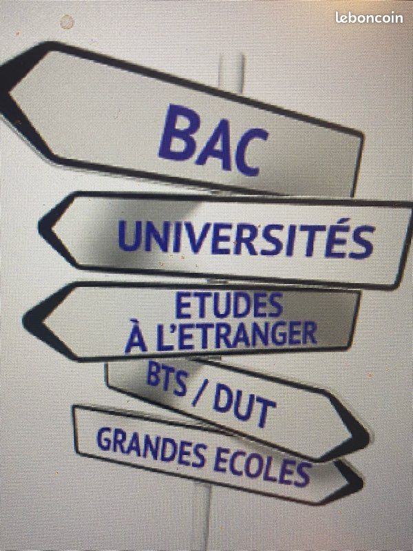 Orientation Bac2