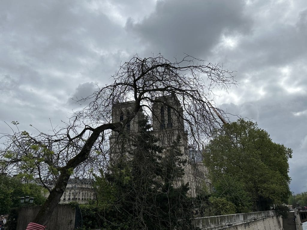 Notre dame de paris1