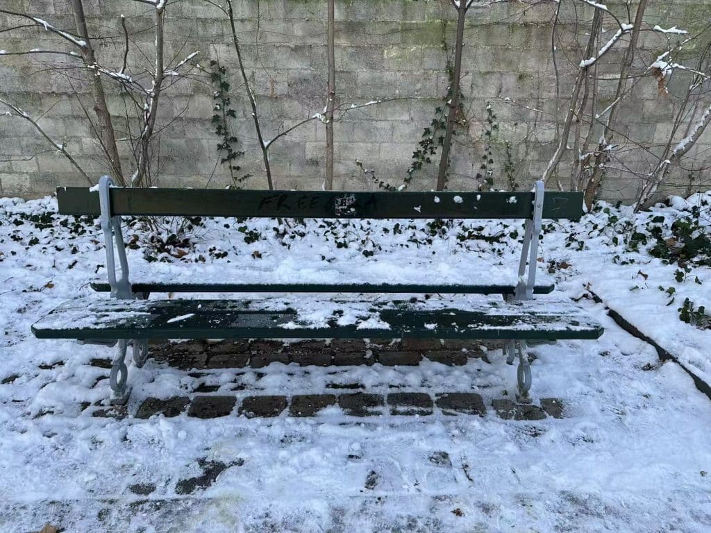 Neige 1