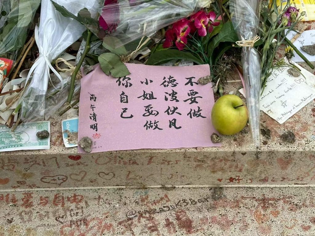 Image 005 Image 005